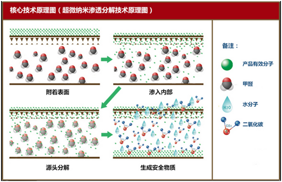 办公室除甲醛