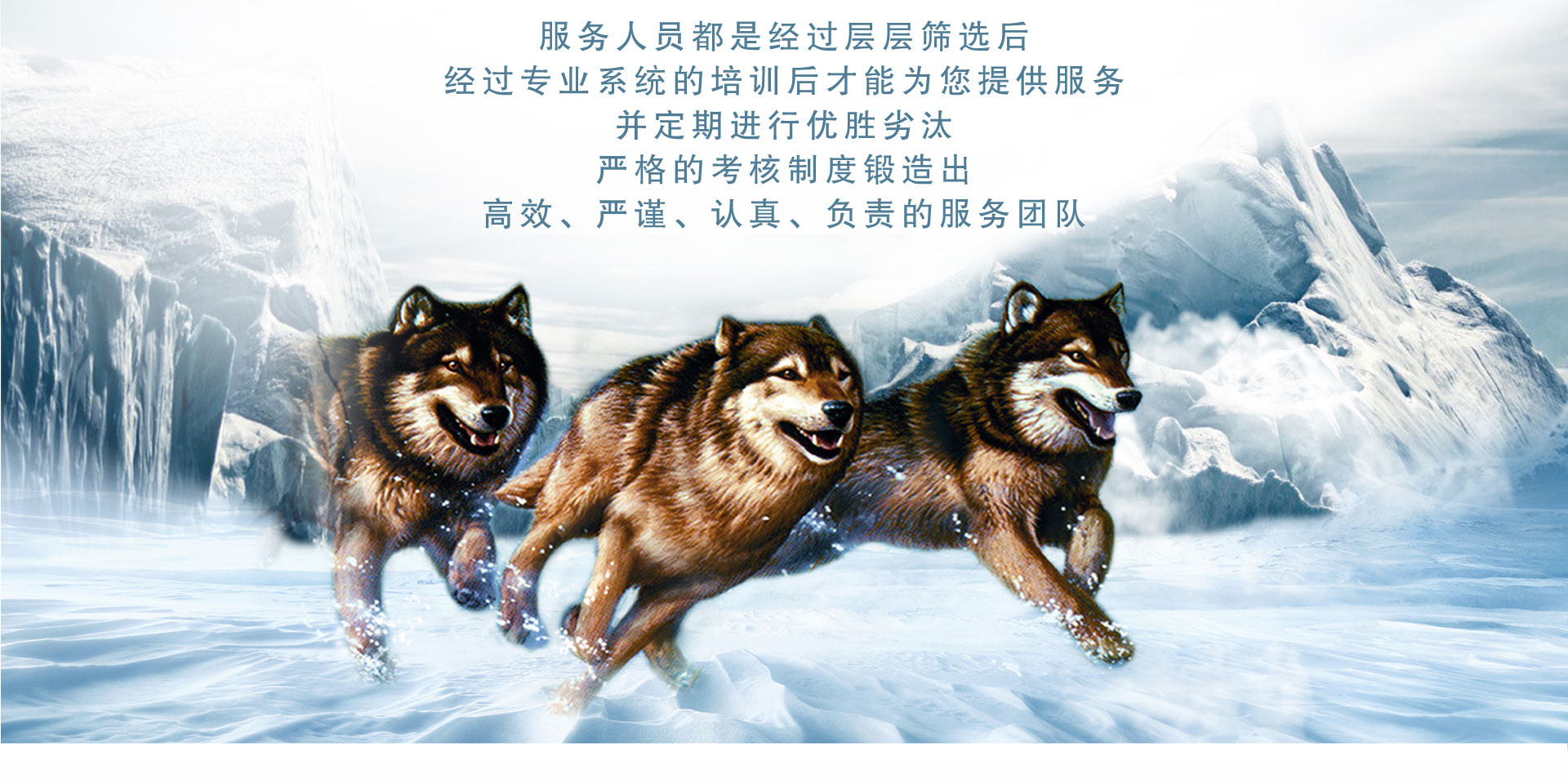 <a href=http://www.bjzsk.com/ target=_blank class=infotextkey>室内除甲醛</a>服务介绍2-<a href=http://www.bjzsk.com/ target=_blank class=infotextkey>中德睿智</a>专业的北京<a href=http://www.bjzsk.com/ target=_blank class=infotextkey>室内除甲醛</a>公司公司，让你安心享受室内清洁空气！